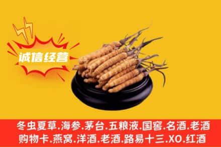 开封市禹王台回收冬虫夏草